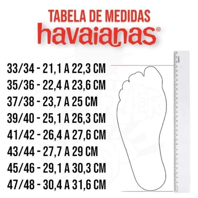 Chinelo Havaianas Aloha Marinho Masculino Azul Marinho 4
