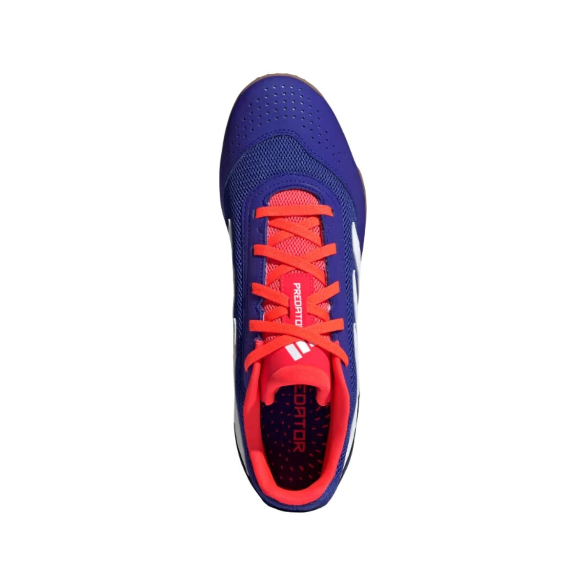 Chuteira Indoor Masculina Adidas Predator 24 Club Azul Azul 2