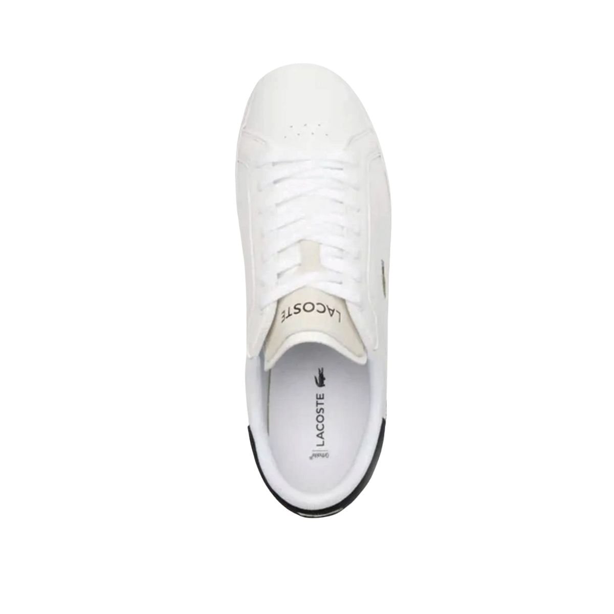 Sapatênis Masculino Lacoste Powercourt Branco Branco 3