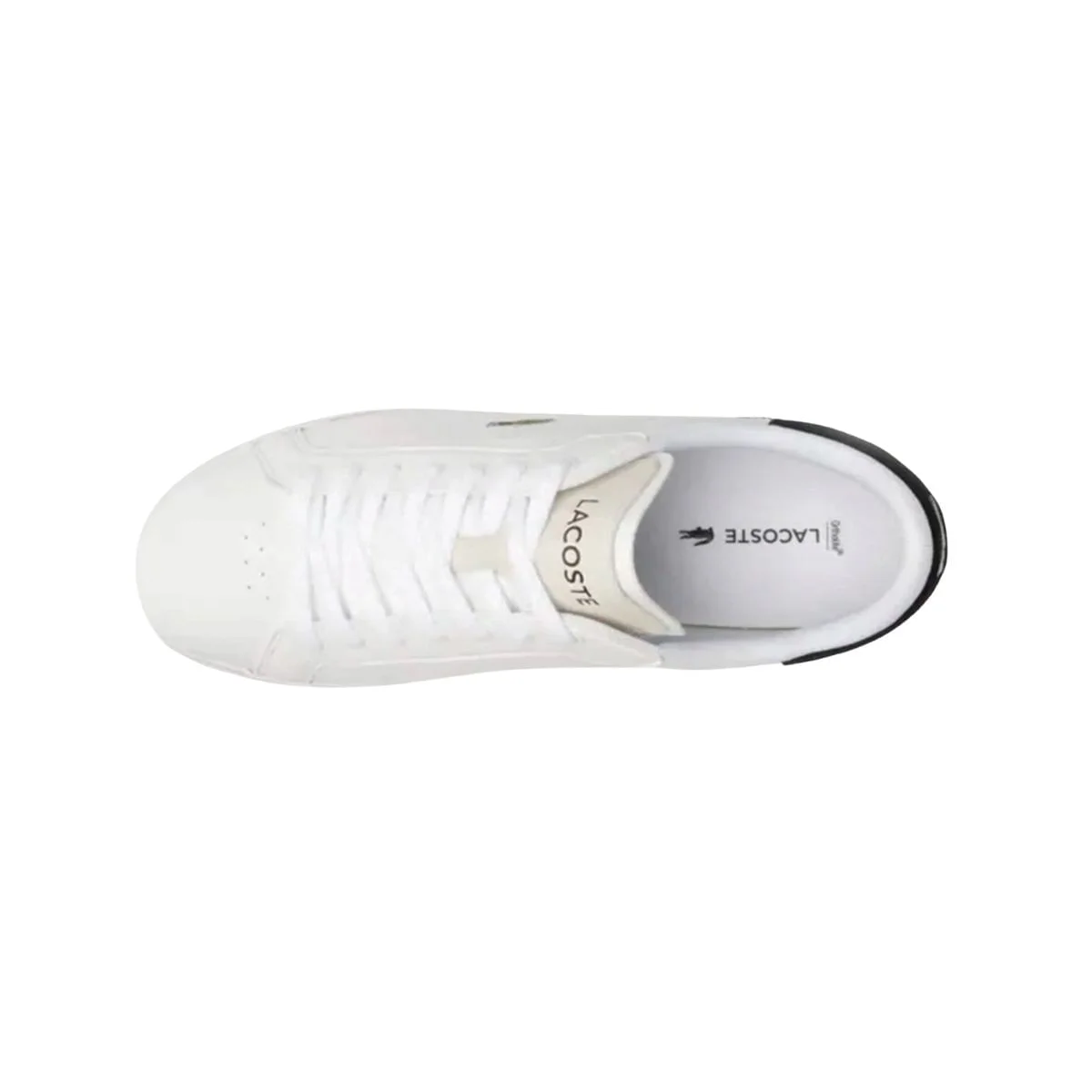 Sapatênis Masculino Lacoste Powercourt Branco Branco 6