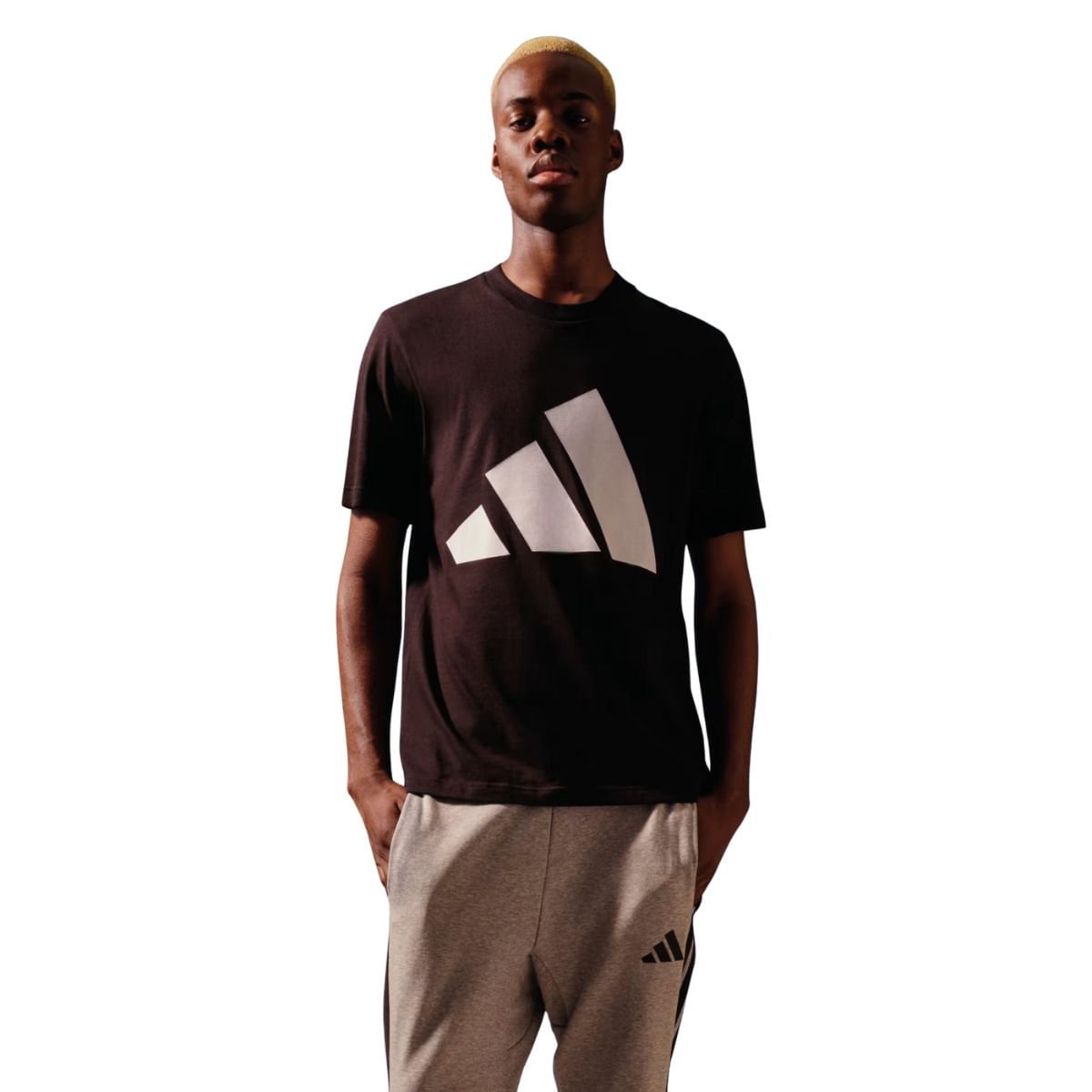 Camiseta Masculino Adidas Essentials Big Logo Preto Preto 5