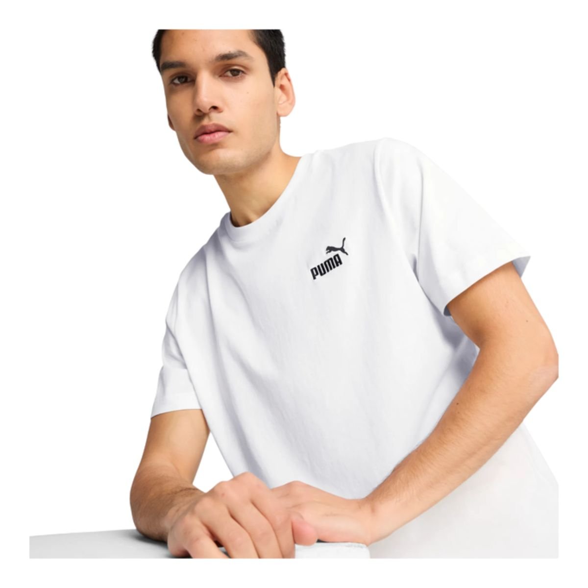 Camiseta Masculina Puma Essentials Small No. 1 Logo Tee Branca Cinza 2
