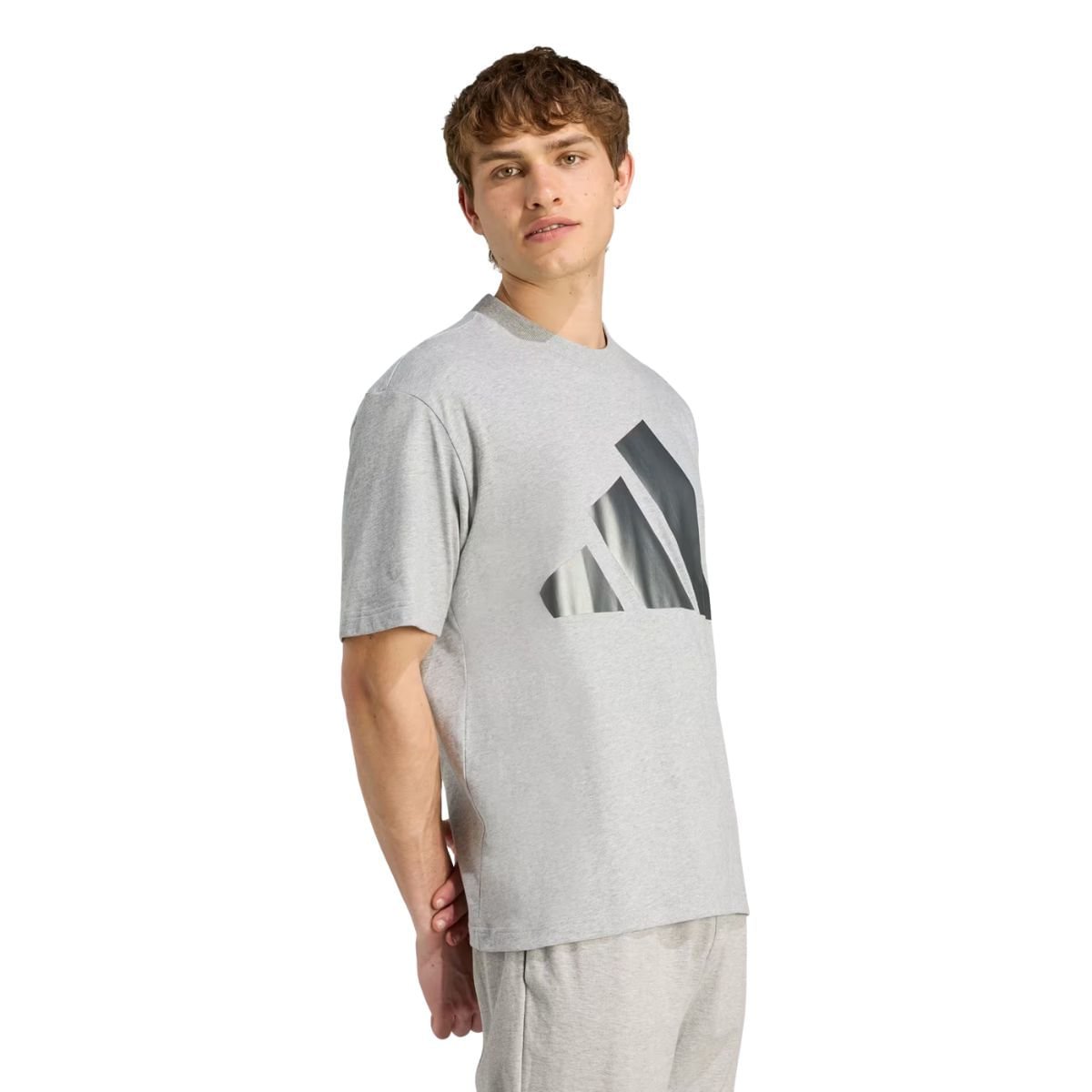 Camiseta Masculina Adidas Holiday Big Logo Cinza Cinza 2