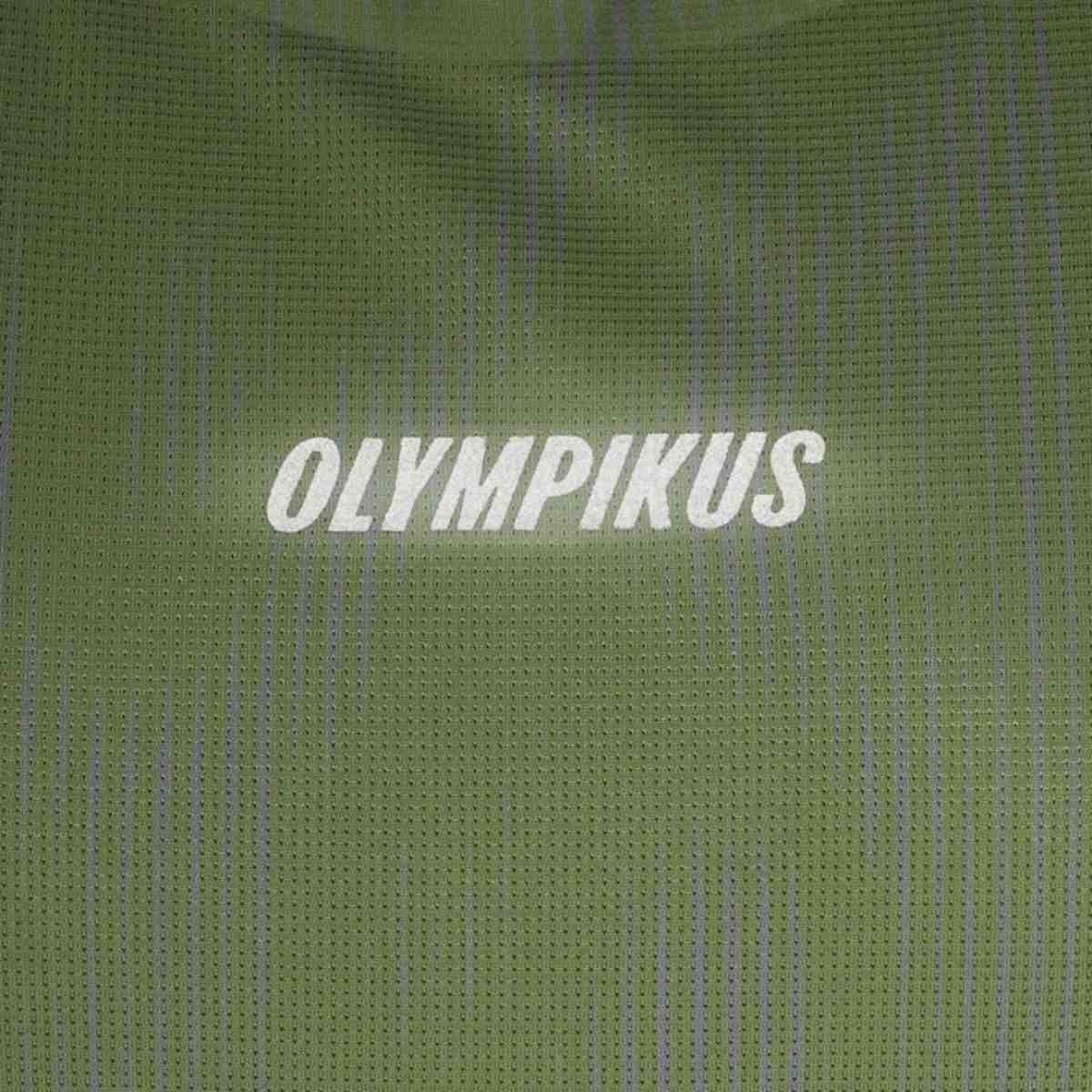 Camiseta Masculina Regata Olympikus Corre Verde Verde 5