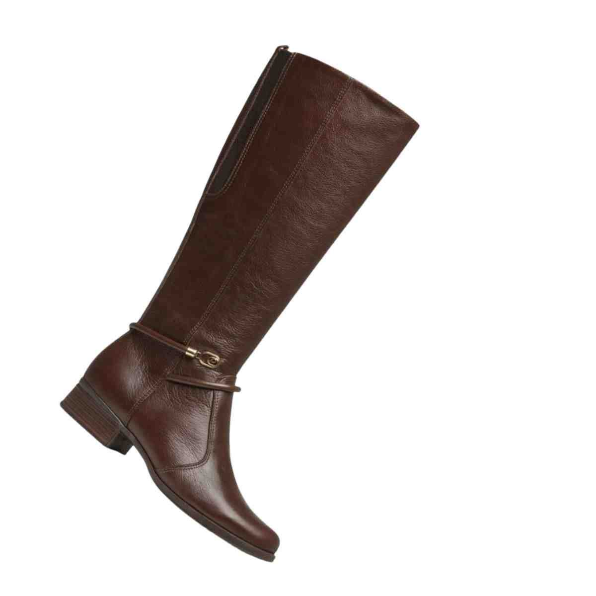 Bota Feminina Montaria Cano Alto Pegada Marrom Marrom 7