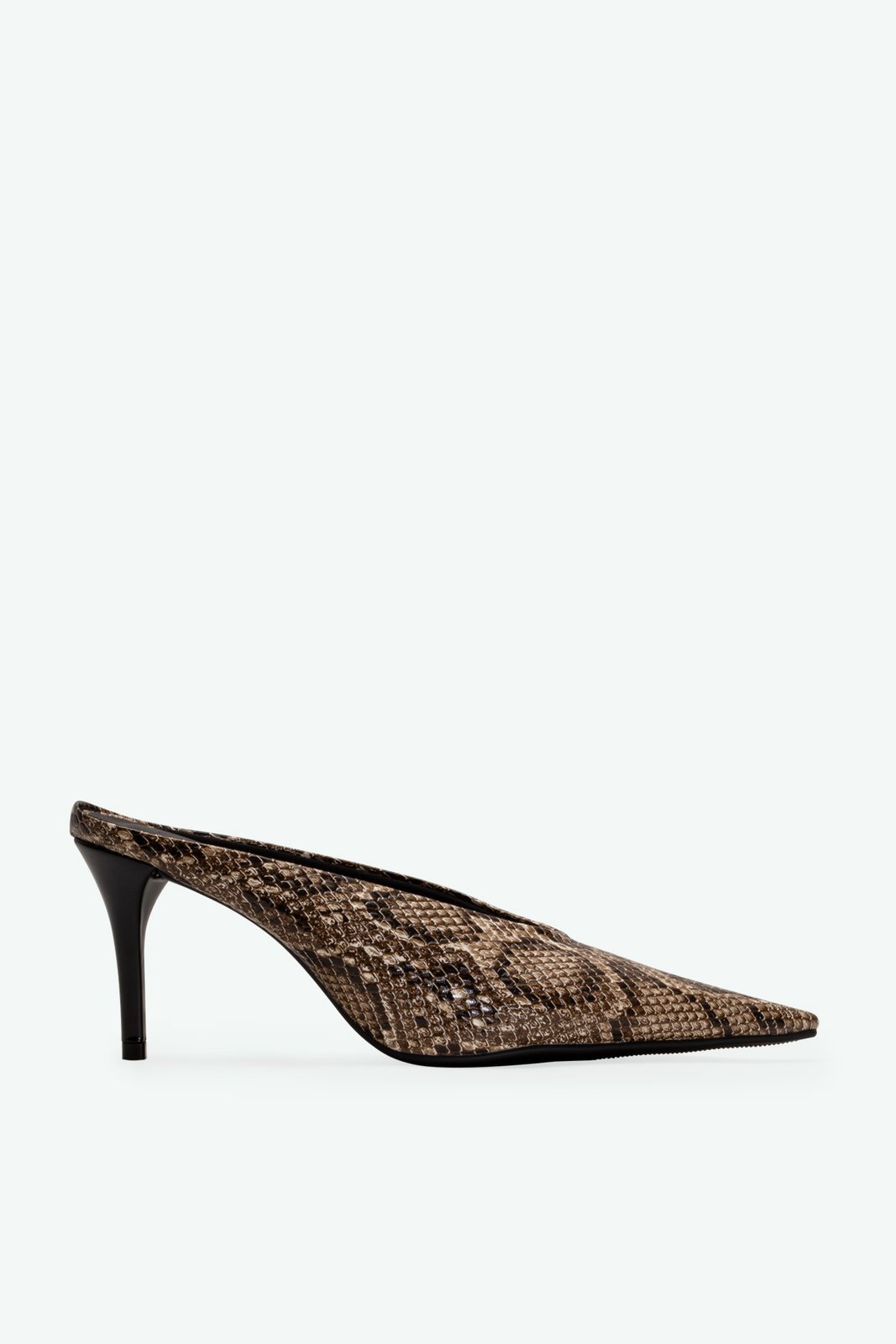 MULE CLARA SUZANA SANTOS