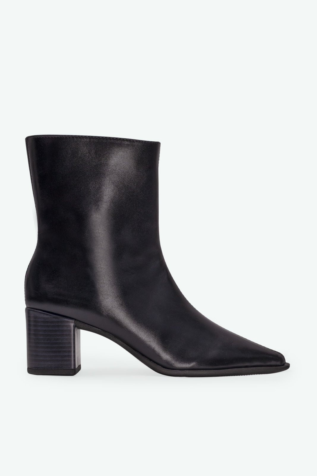 BOTA PALOMA SUZANA SANTOS
