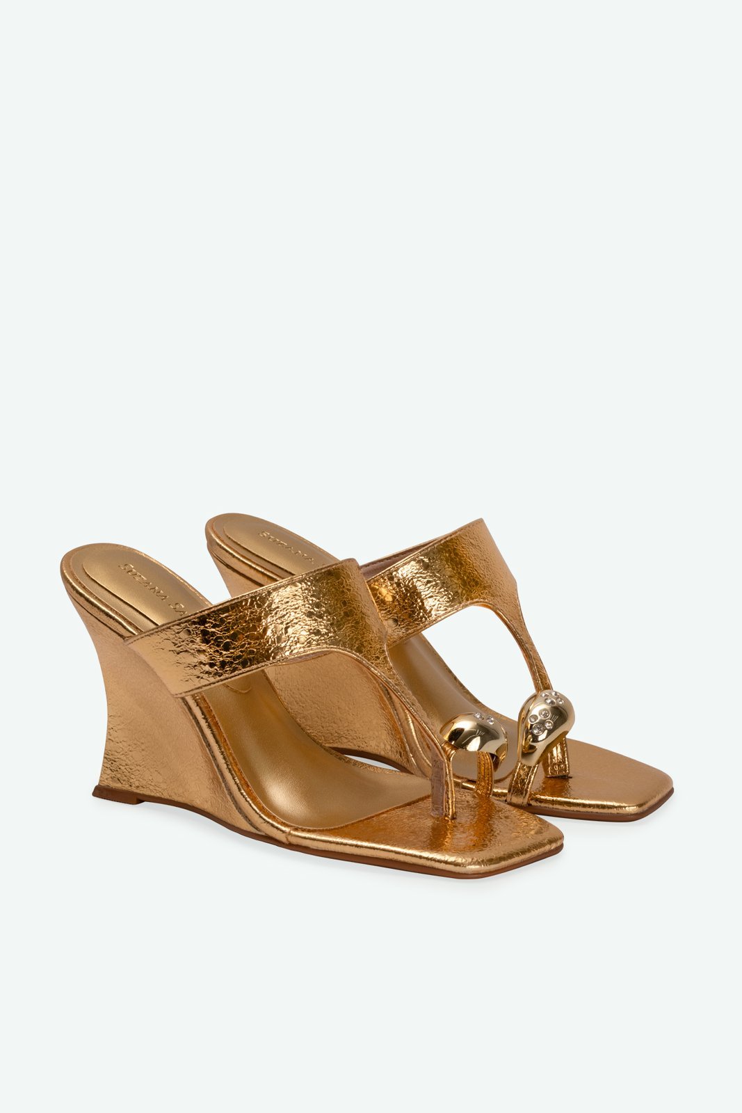 TAMANCO CAROLINA SUZANA SANTOS Dourado 2