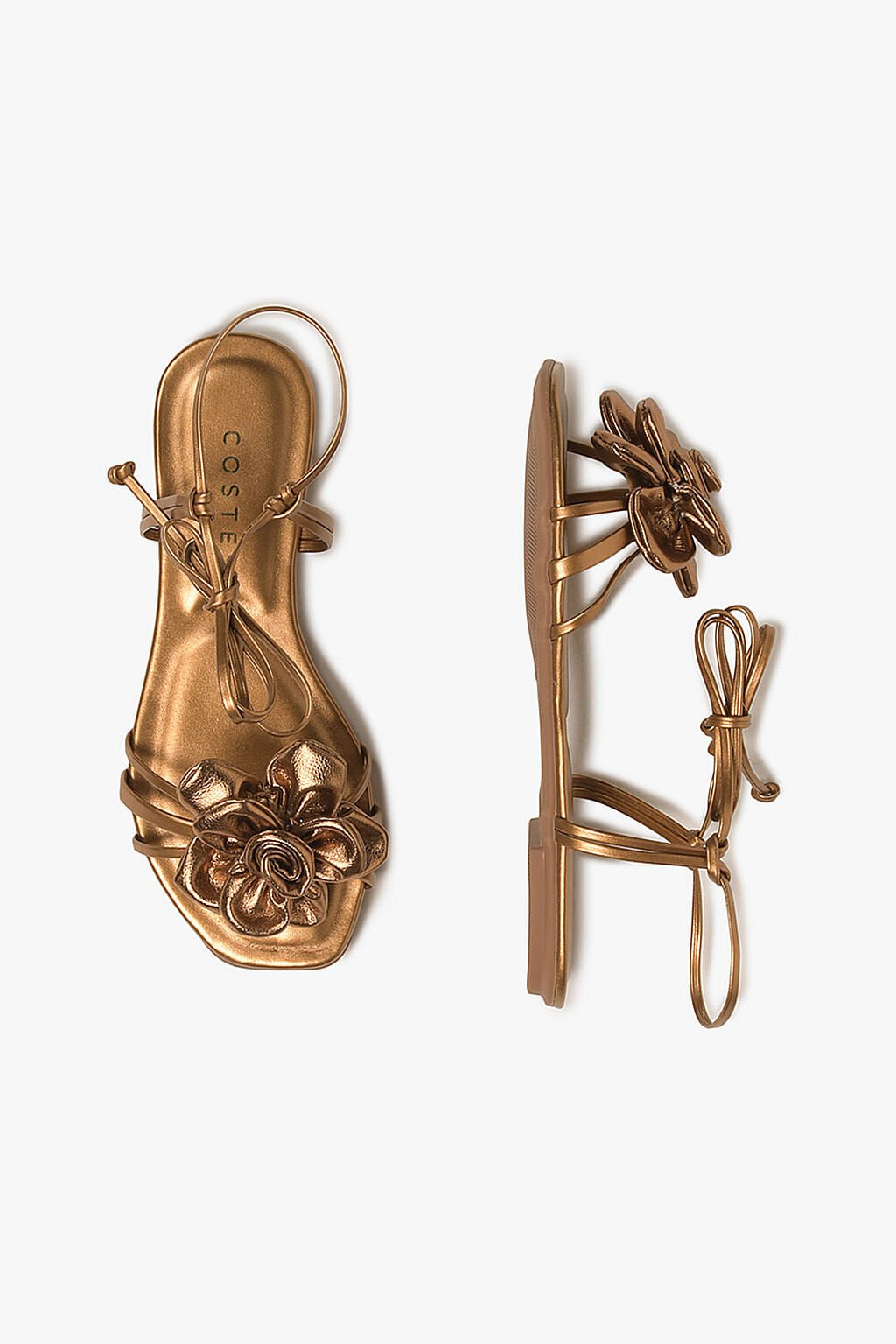 Rasteira Feminina Costes Eloah Bronze 3