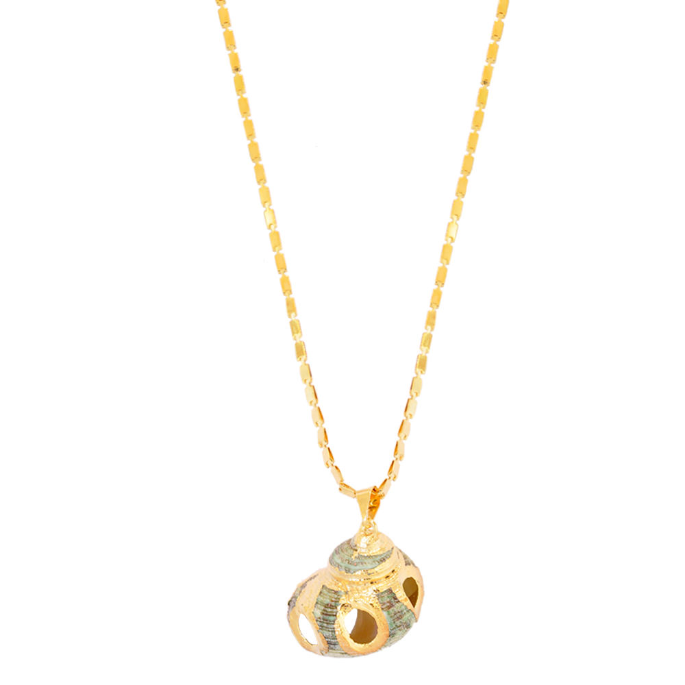 Colar Semijoia Concha Natural Verde Dourado