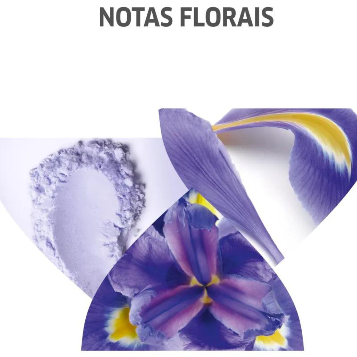 Wella Invigo Blonde Recharge Shampoo Matizador 250ml 250ml 5