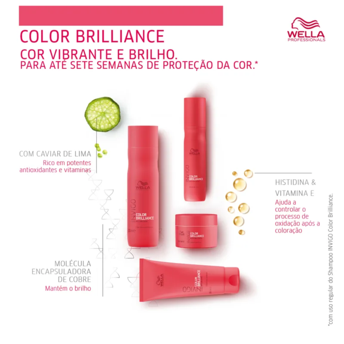 Wella Color Brilliance Duo Home Care + Óleo 100ml ÚNICO 6