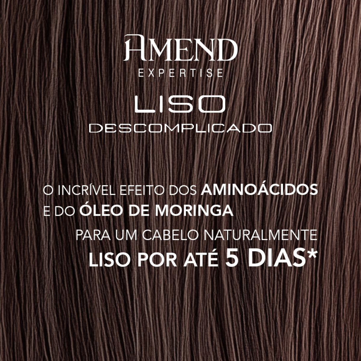 Amend Expertise Liso Descomplicado Mascara 300ml + Science Bond Repair Renovador Capilar 90ml ÚNICO 5