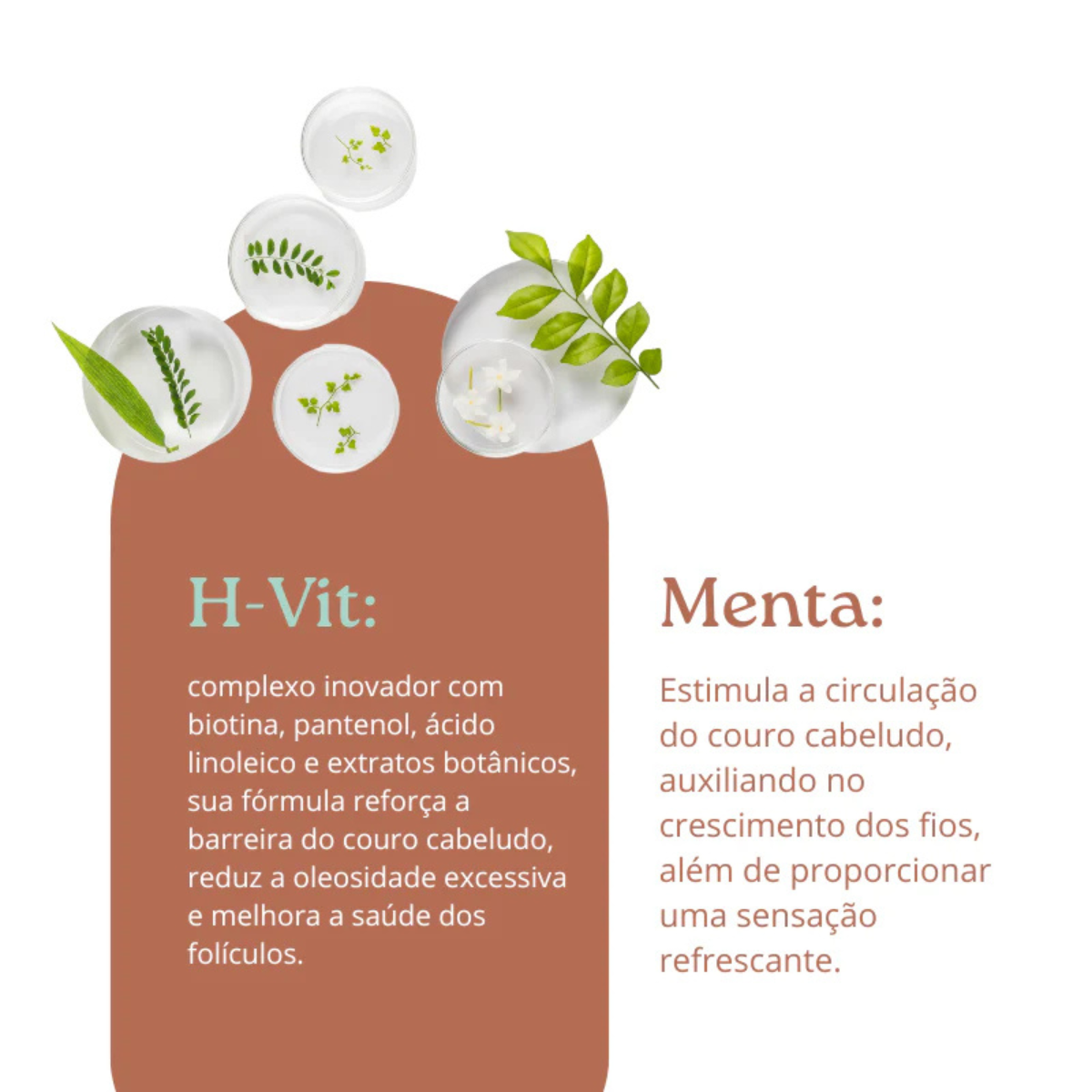 Apice Scalp Care Tônico Estimulante Capilar 200ml 200ml 8