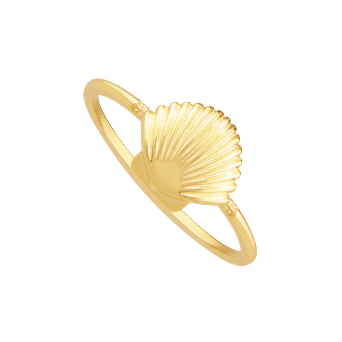 Anel Folheado a Ouro 18k Concha Dourado 1