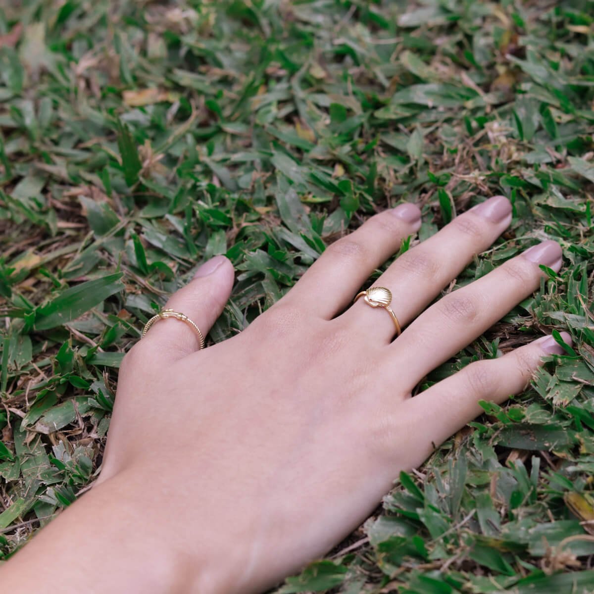 Anel Folheado a Ouro 18k Concha Dourado 3