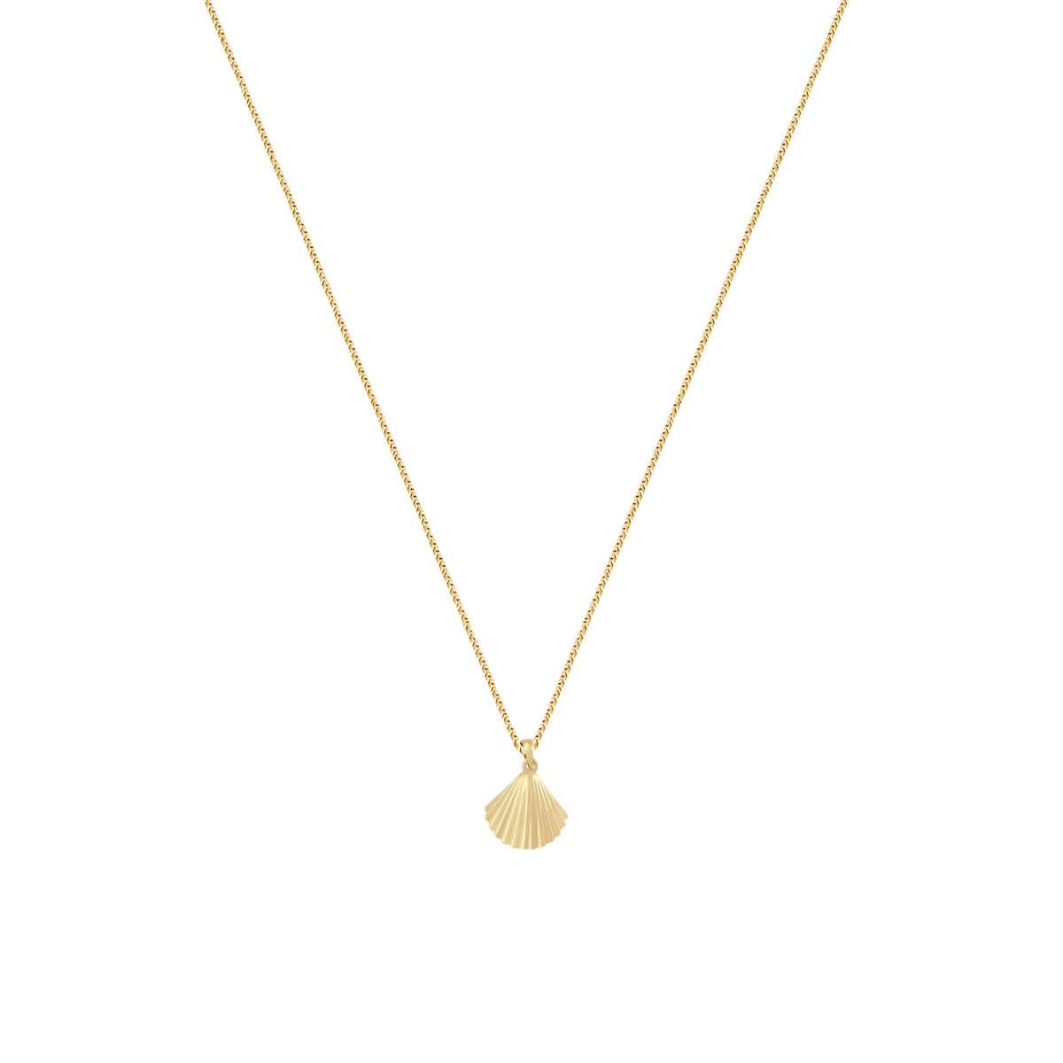 Colar Folheado a Ouro 18k Concha