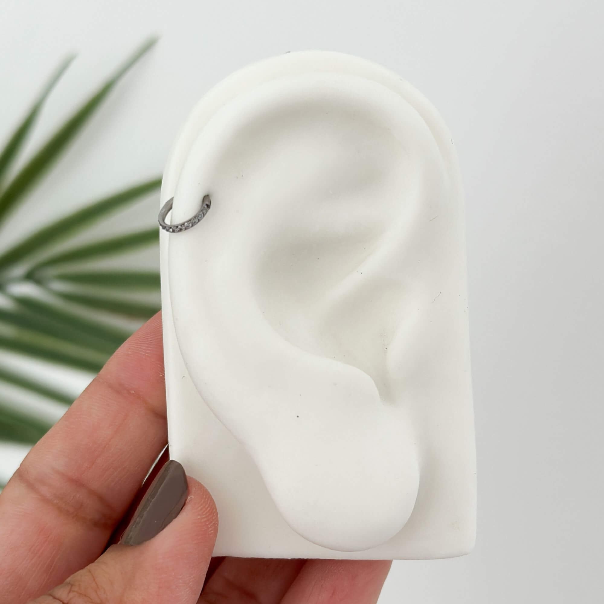 Piercing Orelha Titânio Fileira Cravejada Prata 2