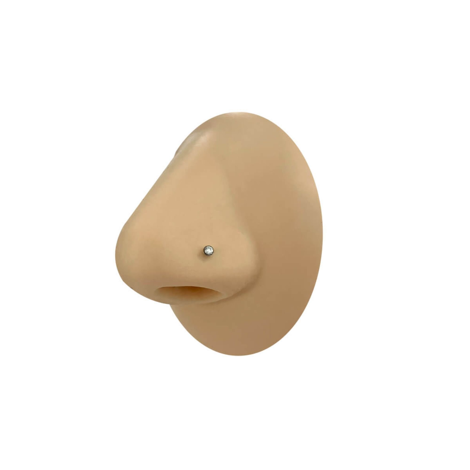 Piercing Nariz Aço Cirúrgico Ponto de Luz Zircônia Pino 10mm Prata 2