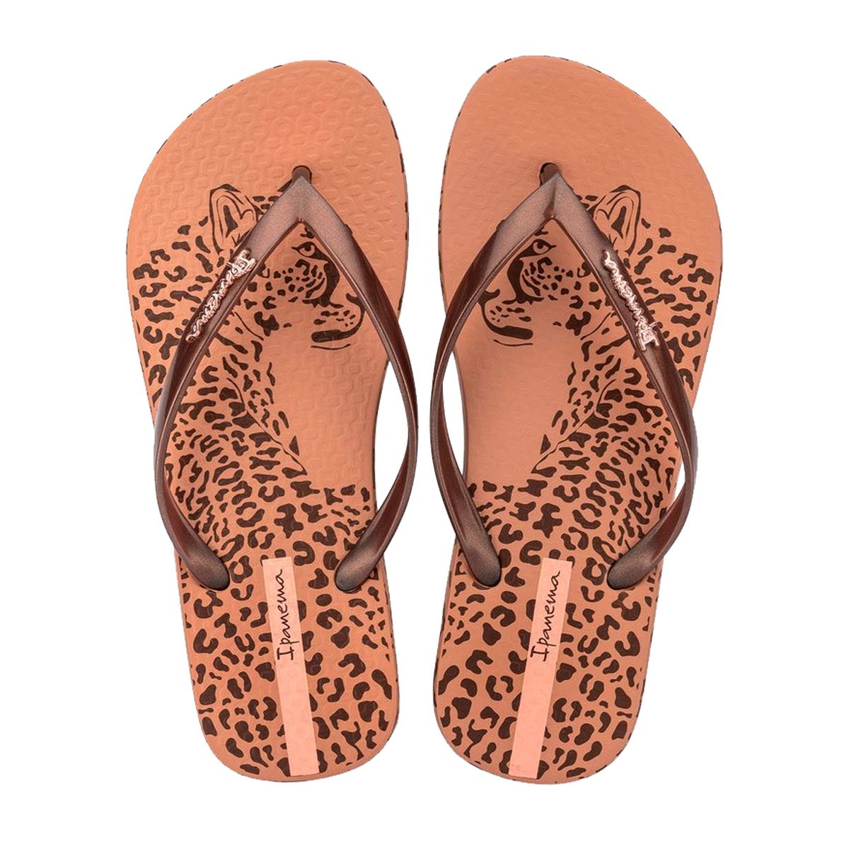 Chinelo de Dedo Estampa Animal Chic Feminina Ipanema Marrom 2