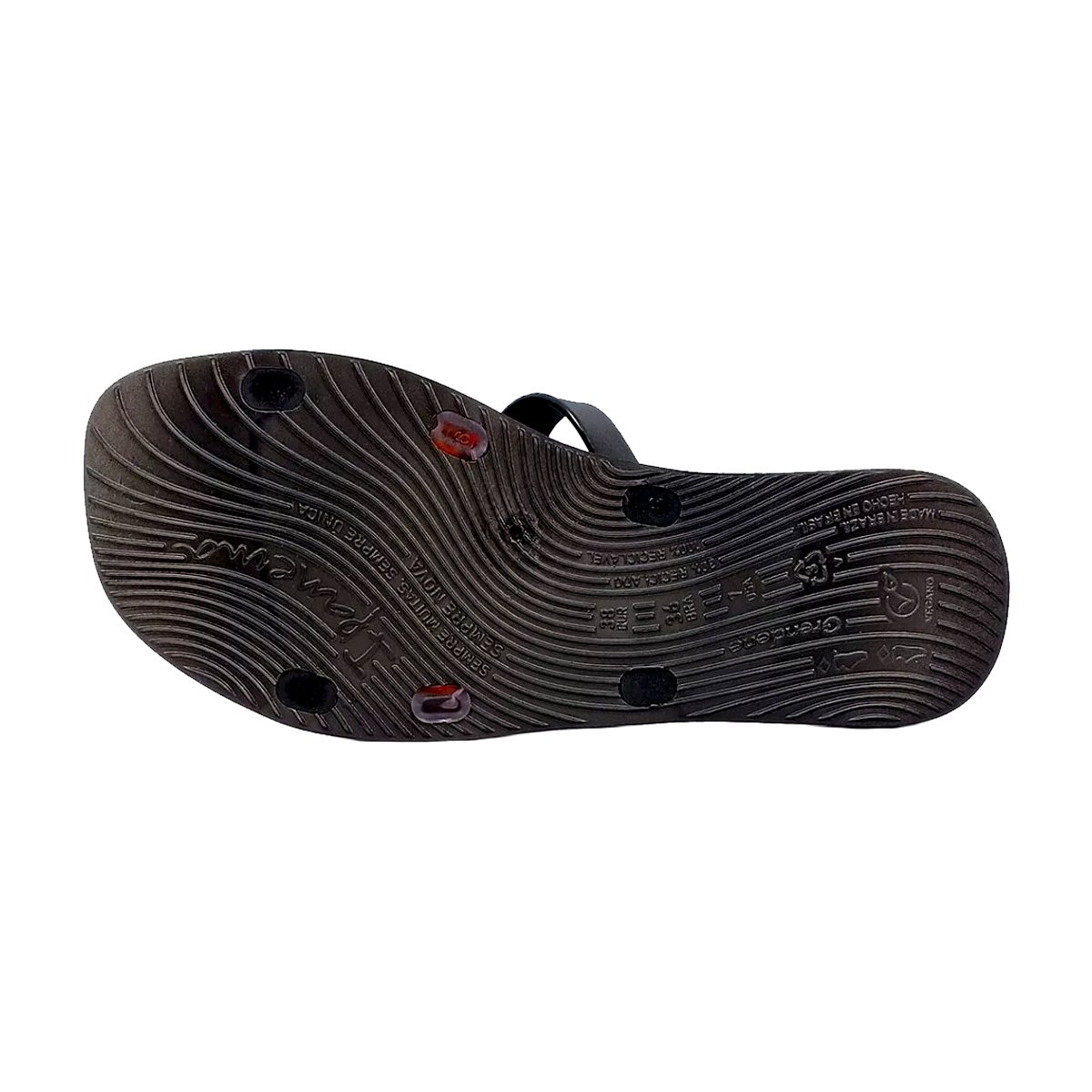 Chinelo Slide Estampa Tartaruga Feminino Ipanema Preto 5