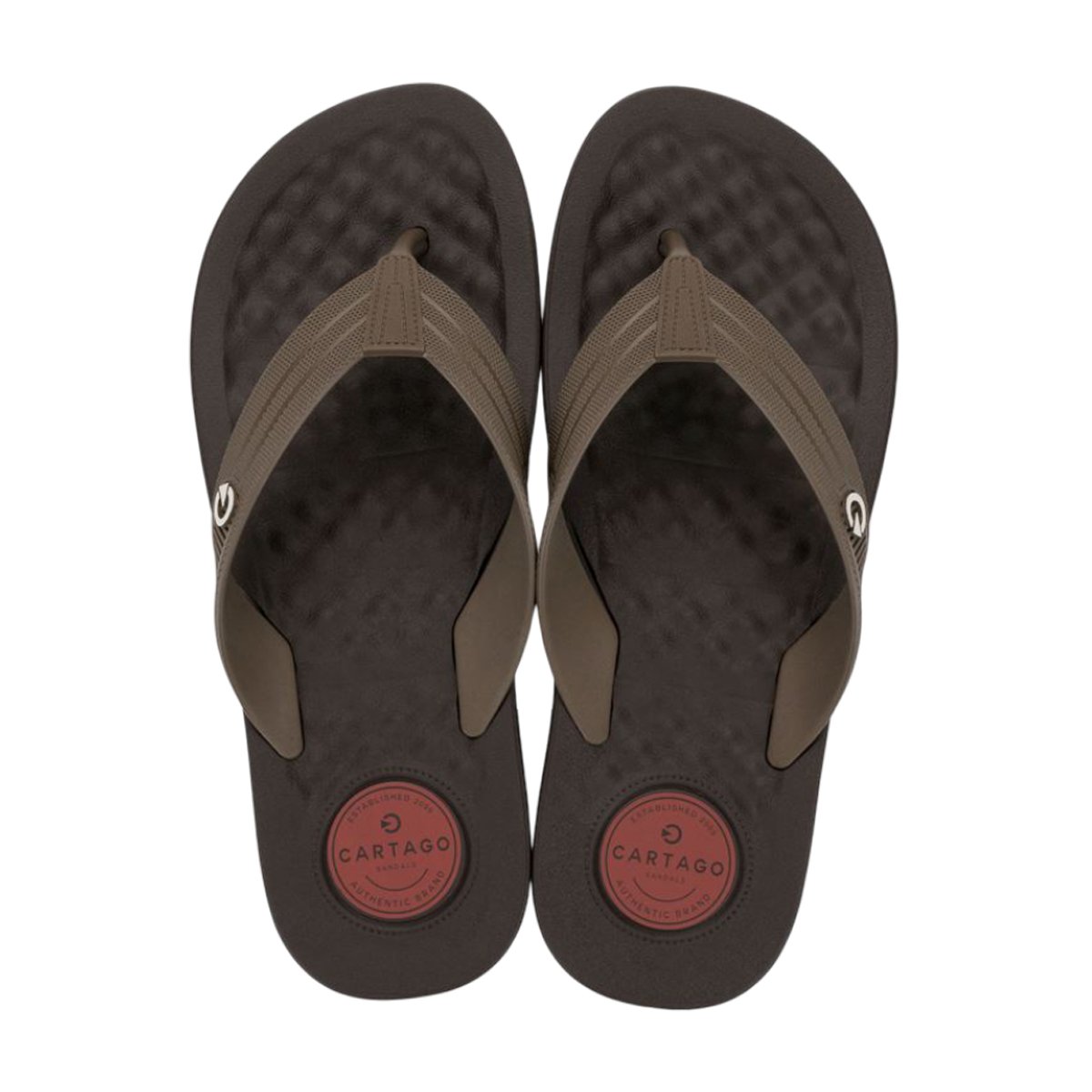 Chinelo Casual Masculino Arizona Ligth Cartago