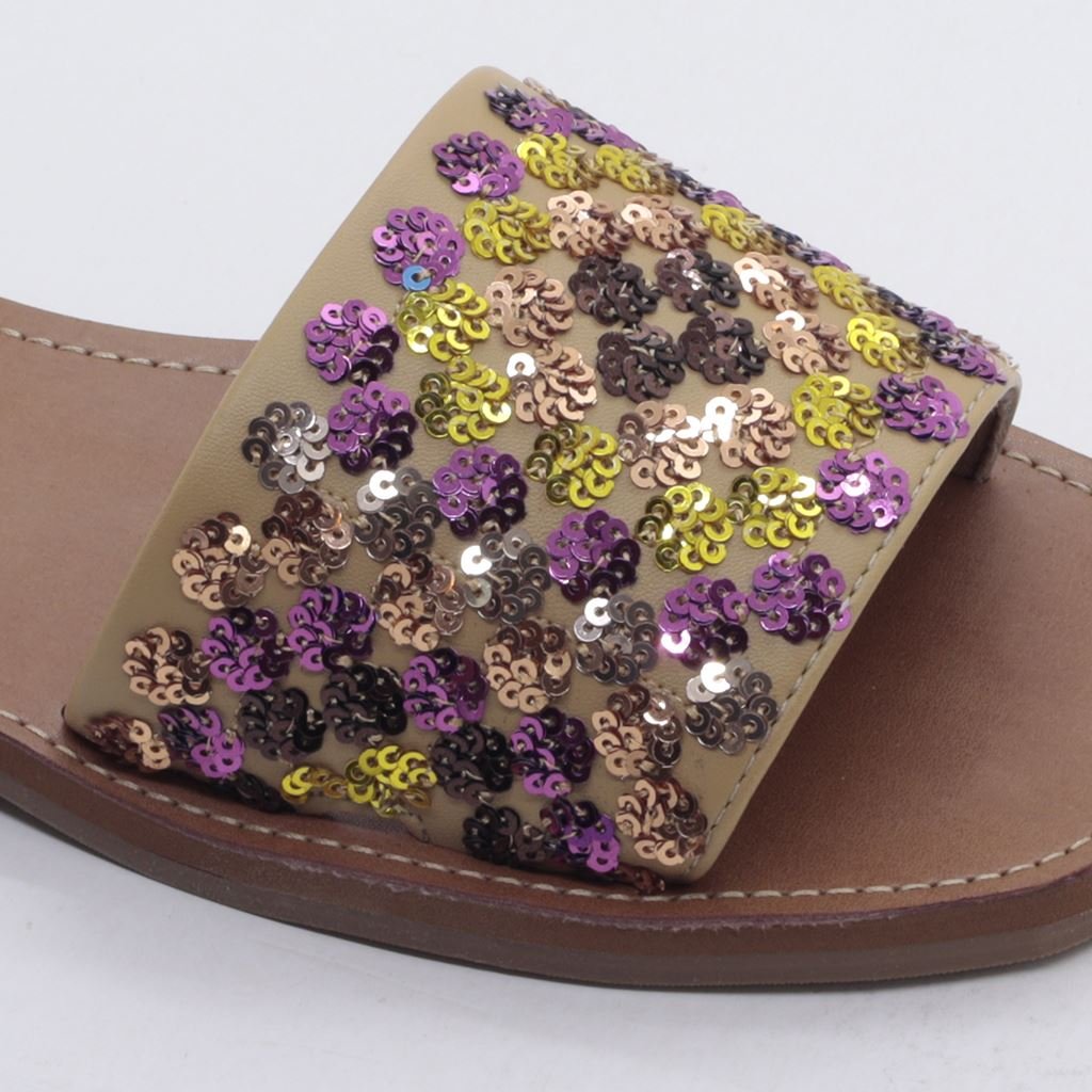 Rasteira Chinelo Detalhe Marrom 4