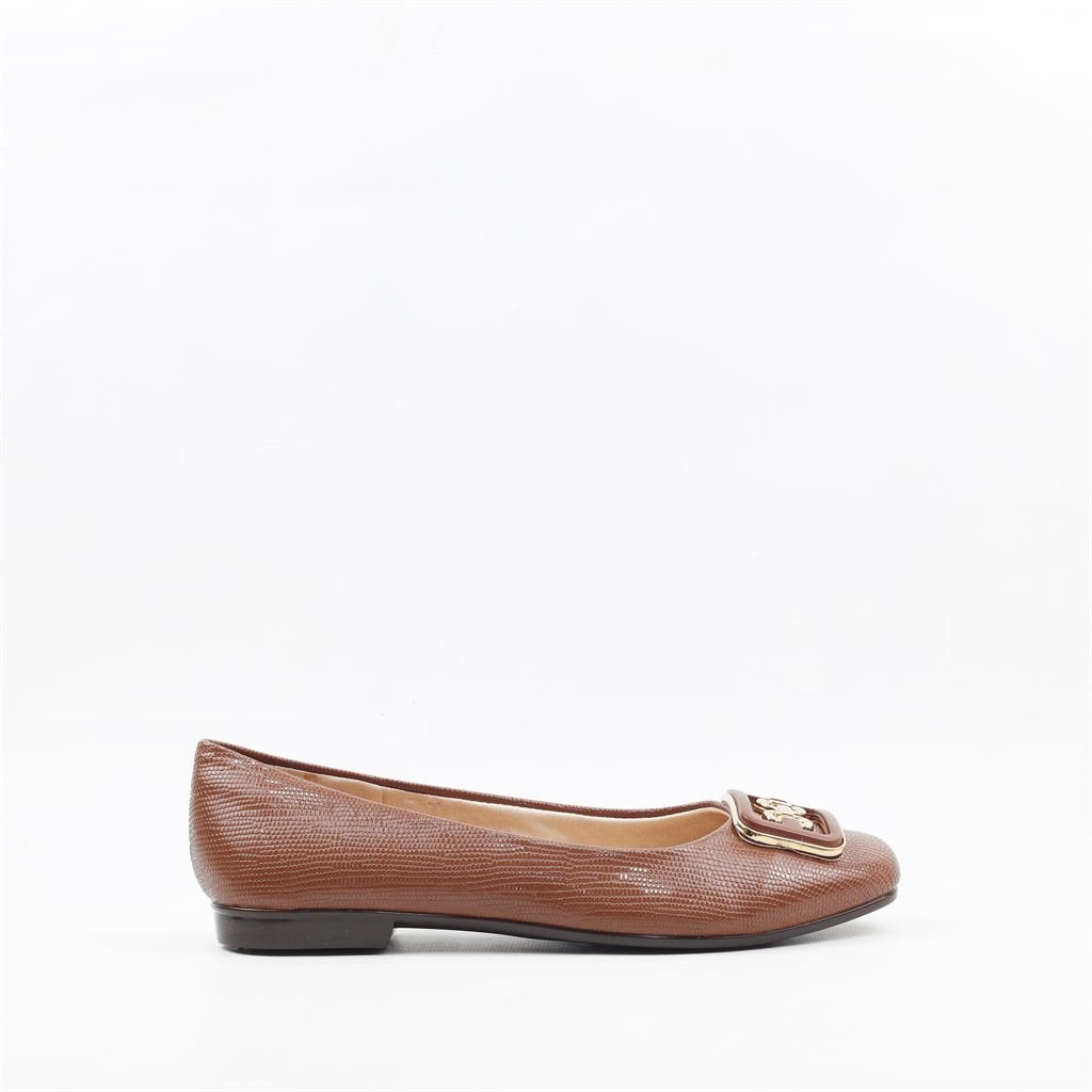 Sapatilha Conforto Fivela Marrom 5
