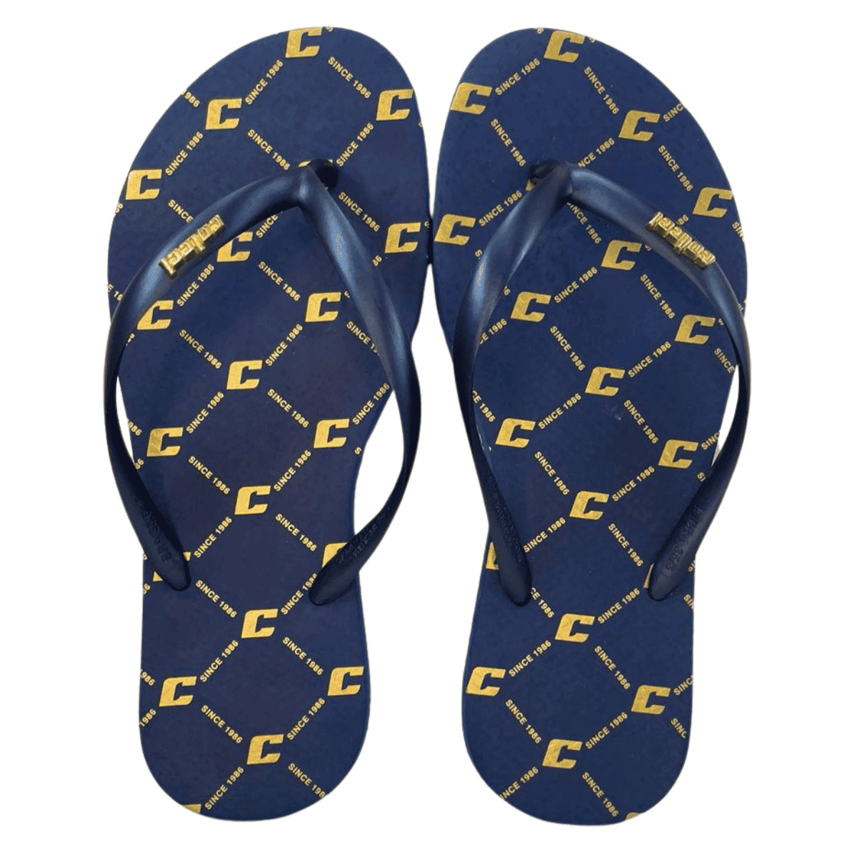 Cor Azul Marinho