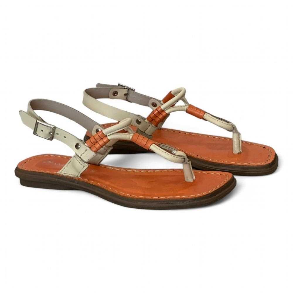 Sandália Andacco Rasteira Feminina 15133 Marrom 6