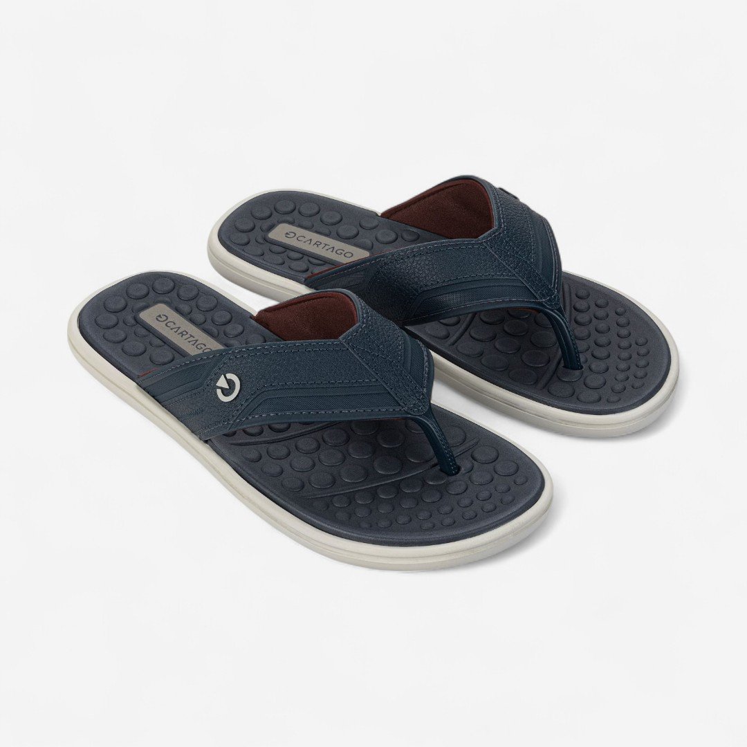 Chinelo Cartago Veneto III Masculino Azul Cinza/Azul/Bordô 2