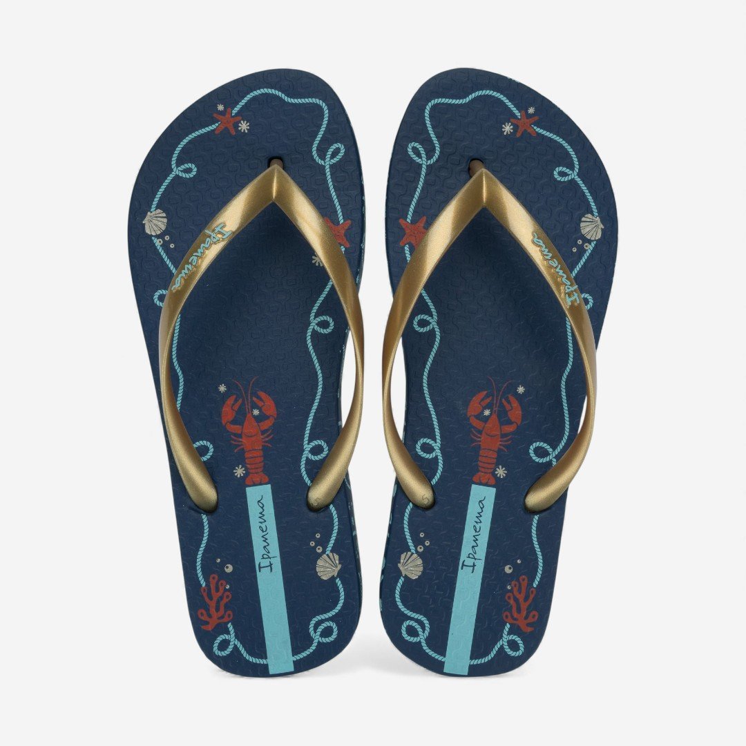 Chinelo De Dedo Navy Ipanema Azul Azul/Dourado 2