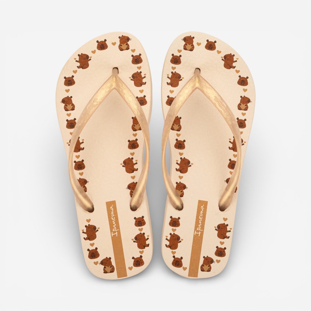 Chinelo De Dedo Ipanema Day Capivara Bege Bege 2