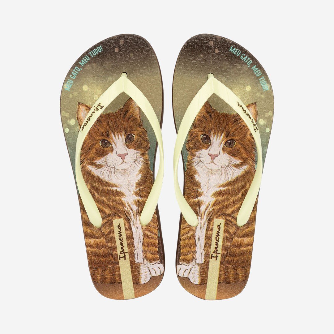 Chinelo de Dedo Marrom Pets Pop Ipanema