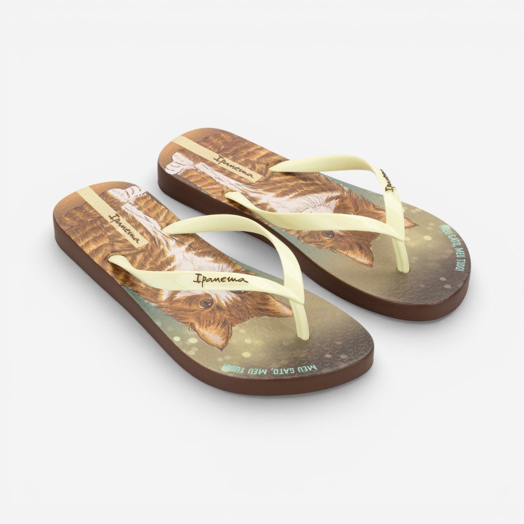 Chinelo de Dedo Marrom Pets Pop Ipanema Amarelo 2