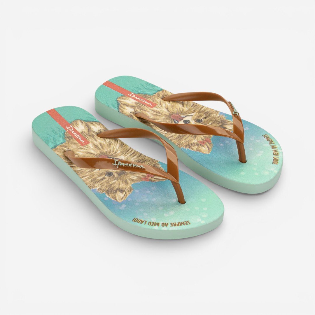 Chinelo de Dedo Verde Pets Pop Ipanema Marrom 2
