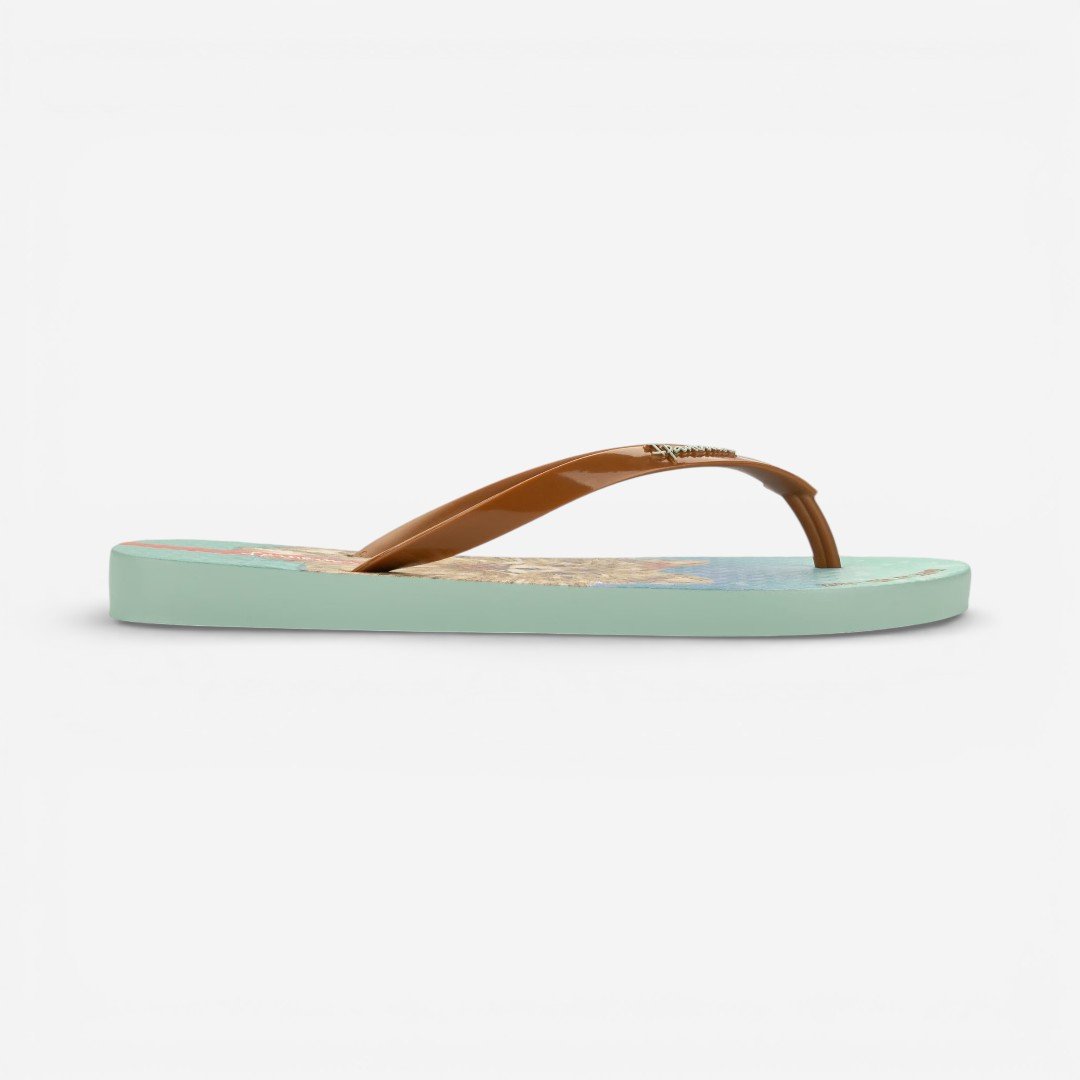 Chinelo de Dedo Verde Pets Pop Ipanema Marrom 3