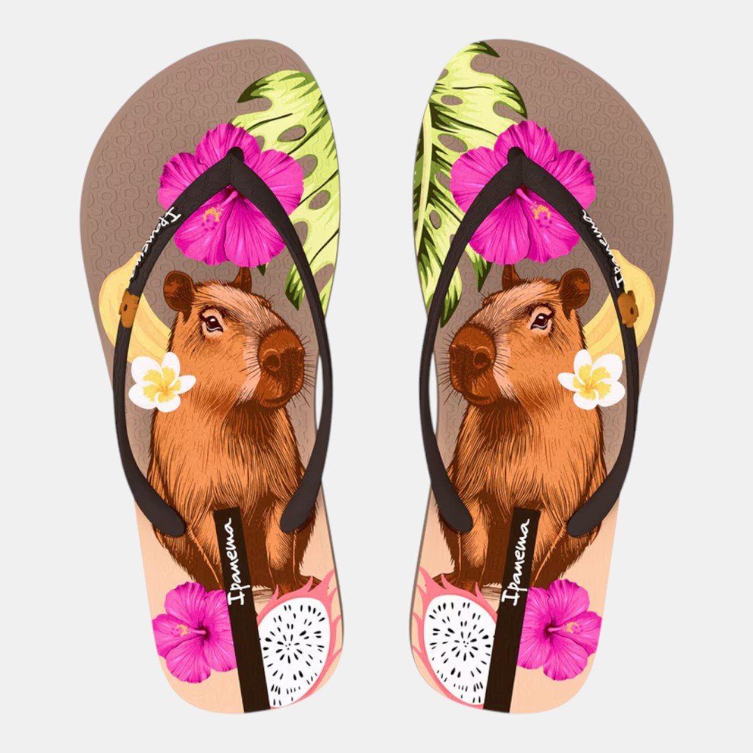 Chinelo de Dedo Pets Pop Ipanema Capivara Marrom