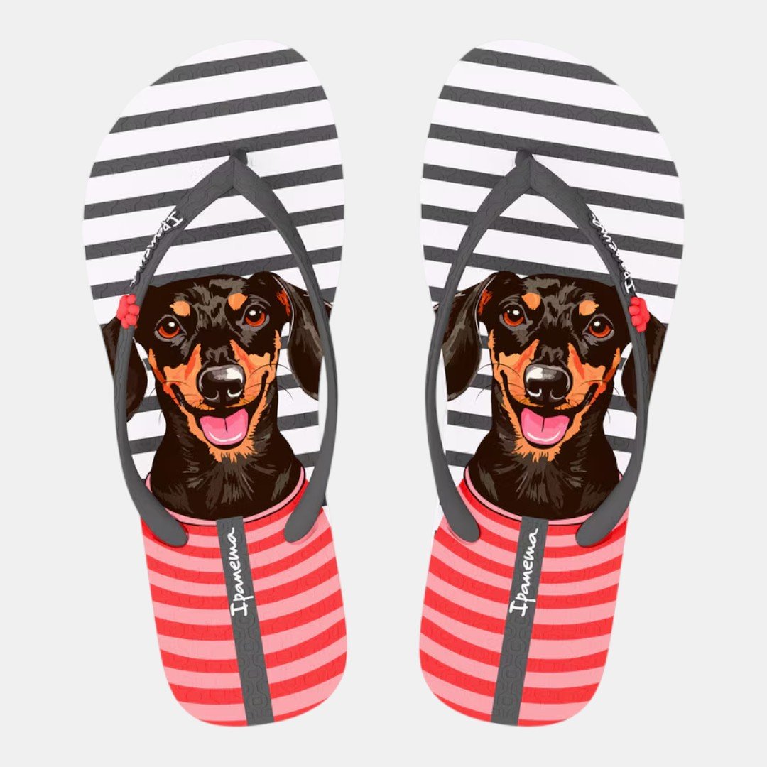 Chinelo de Dedo Pets Pop Ipanema Cachorro Branco