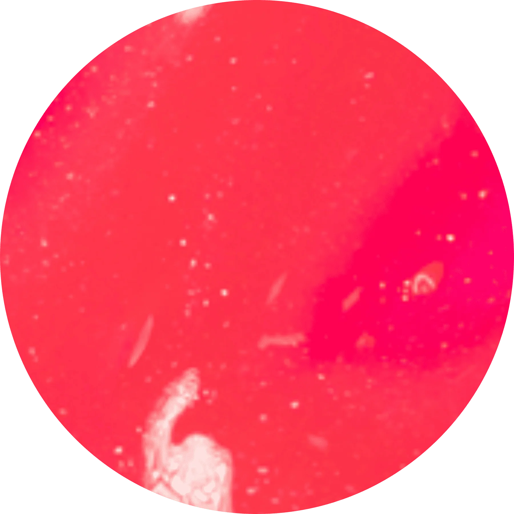Gloss de Aumento  Labial - Cor: Ousadia PAM Beauty 4ml Ousadia 2