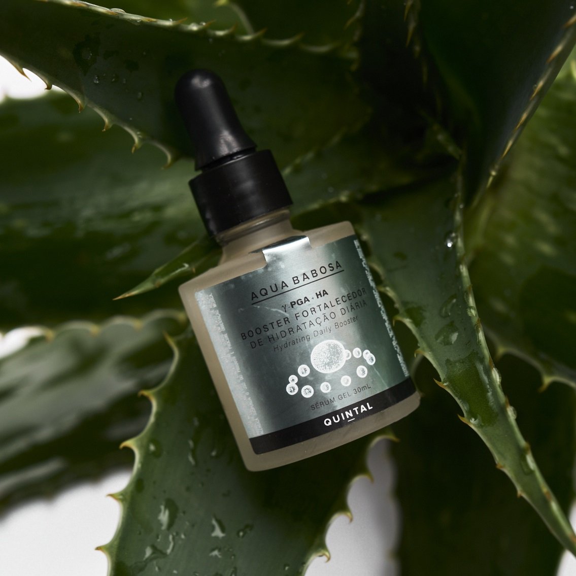 Booster Fortalecedor de Hidratação Aqua Babosa Quintal Dermocosméticos 30ml 3