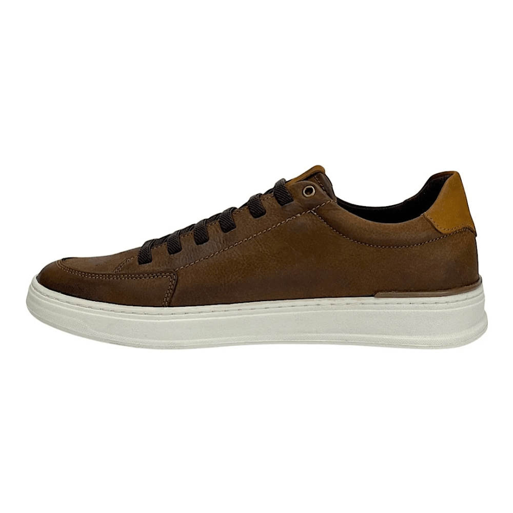 Sapatênis Ferracini Gold Masculino 2074F Chocolate Chocolate 3