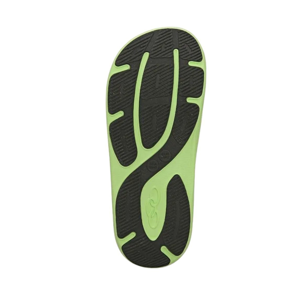 Chinelo Olympikus Pleno Verde 5