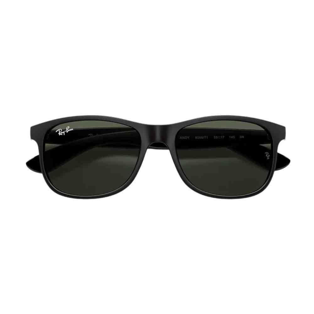 Óculos de Sol Ray-Ban Andy Preto 0RB4202 60697155 Preto 5