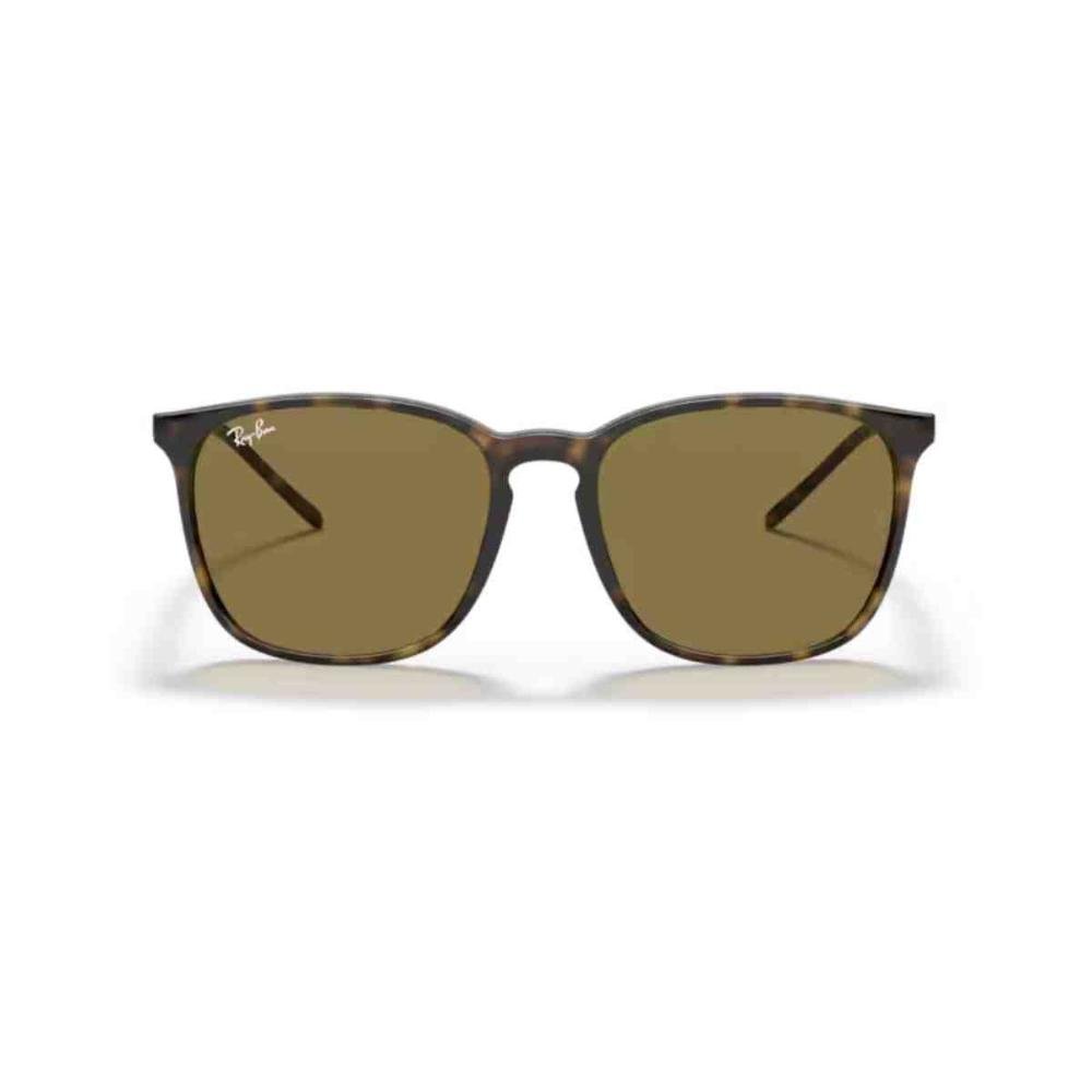 Óculos de Sol Ray Ban Havana 0RB4387 710/7356 Marrom 5