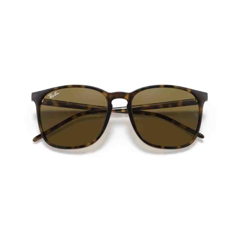 Óculos de Sol Ray Ban Havana 0RB4387 710/7356 Marrom 6