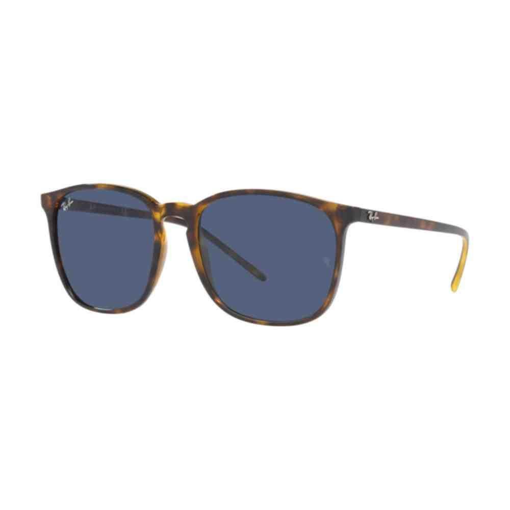 Óculos de Sol Ray-Ban Havana 0RB4387 710/8056 Preto 2