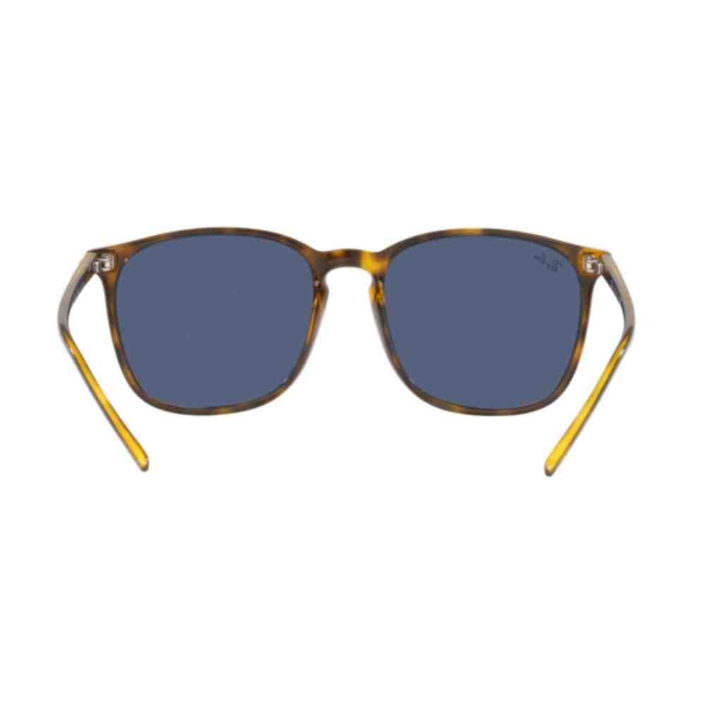 Óculos de Sol Ray-Ban Havana 0RB4387 710/8056 Preto 3