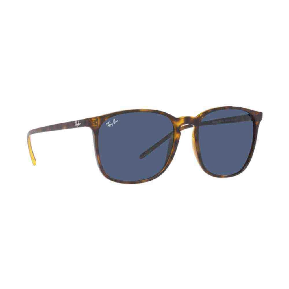 Óculos de Sol Ray-Ban Havana 0RB4387 710/8056 Preto 4
