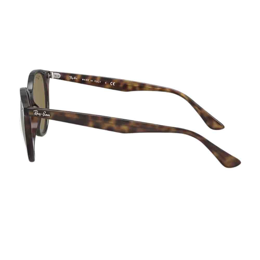 Óculos de Sol Ray-Ban Core Havana 0RB4305 710/7353   Marrom 3